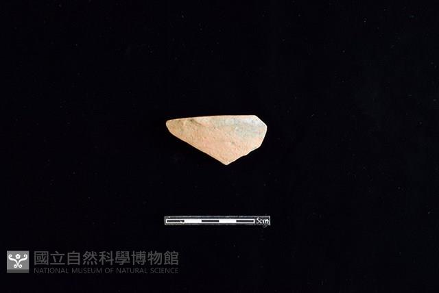 陶片藏品圖，第1張