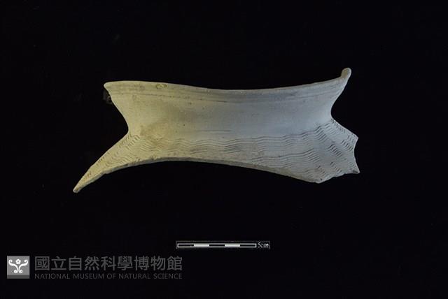 陶罐藏品圖，第1張