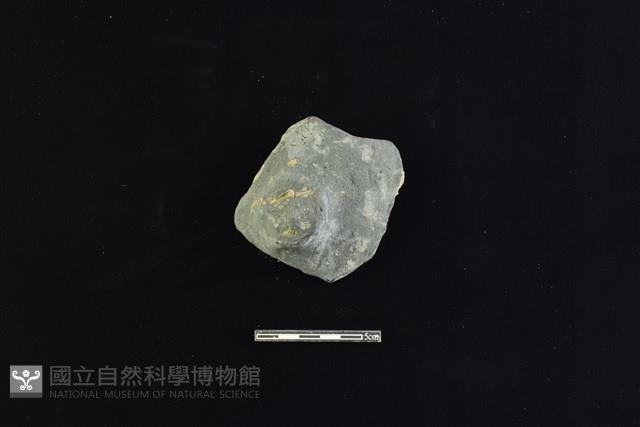 陶蓋鈕藏品圖，第1張