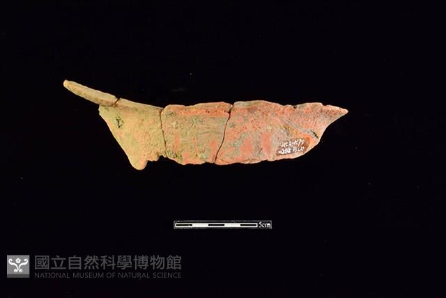 陶片藏品圖，第1張