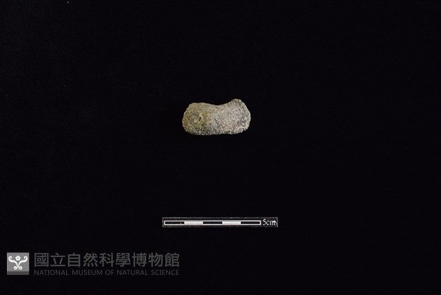陶把藏品圖，第1張