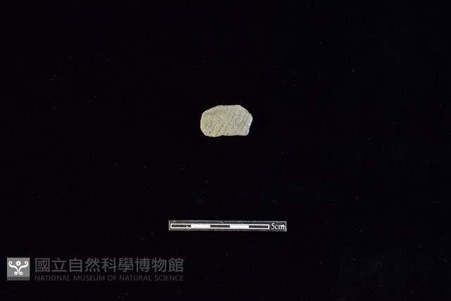 陶片藏品圖，第1張