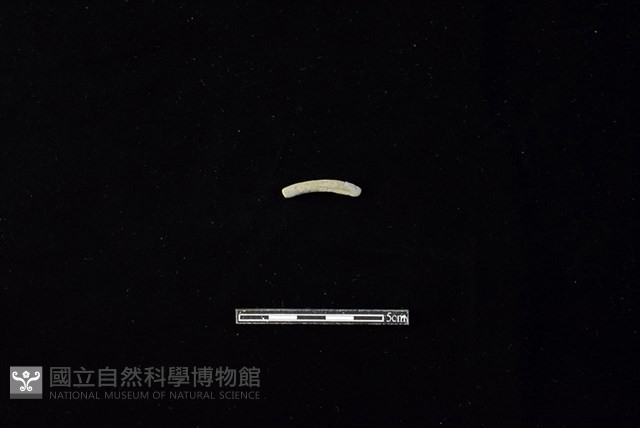 陶環藏品圖，第1張