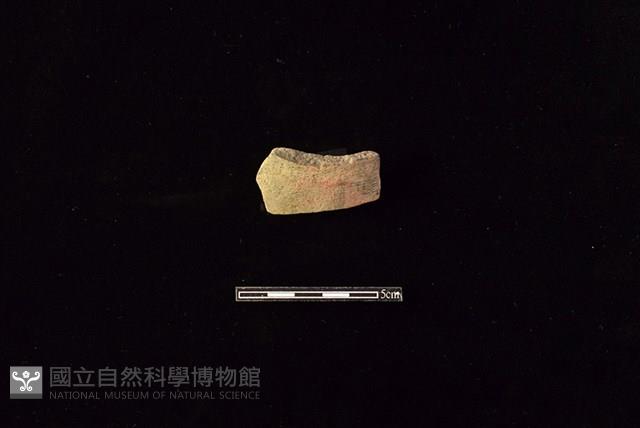 Accession Number:HLL-D PT3082 Collection Image, Figure 1, Total 2 Figures