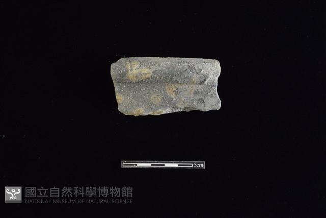 陶罐藏品圖，第1張