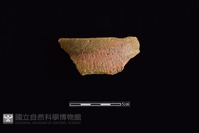 陶罐藏品圖，第1張