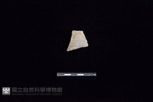 陶片藏品圖，第1張