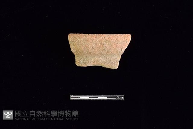 陶罐藏品圖，第1張