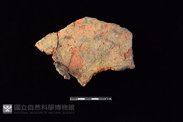 連杯形器藏品圖，第1張