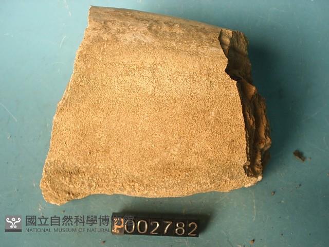 鐘乳石藏品圖，第5張