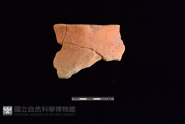 陶片藏品圖，第1張