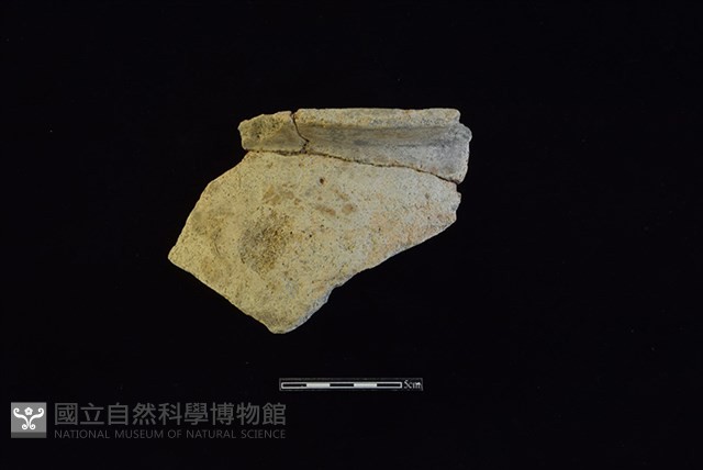 陶罐藏品圖，第1張
