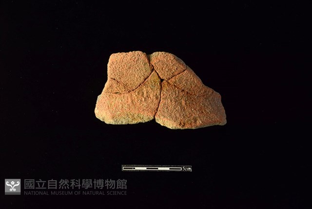 陶罐藏品圖，第1張