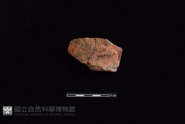 陶罐藏品圖，第1張