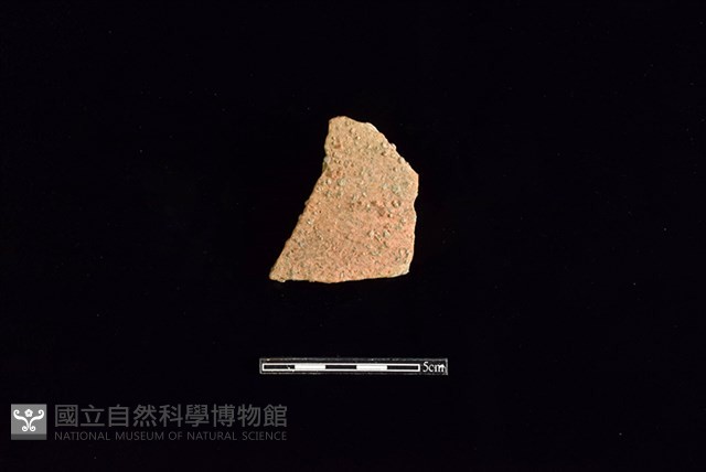 陶片藏品圖，第1張
