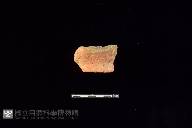 陶片藏品圖，第1張