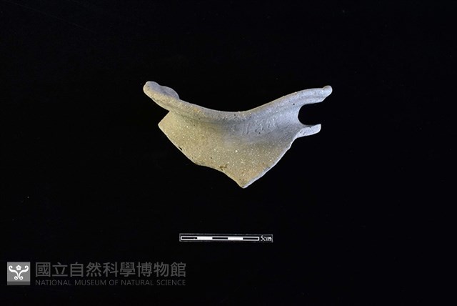 陶罐藏品圖，第1張