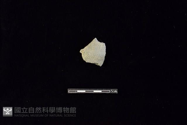 陶片藏品圖，第1張