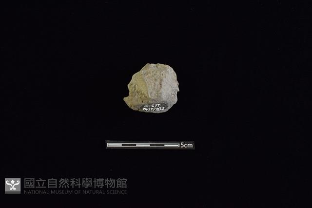 陶蓋鈕藏品圖，第1張