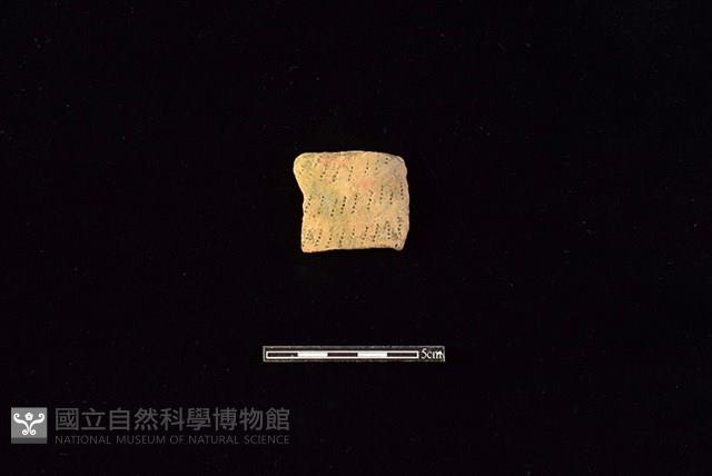 陶片藏品圖，第1張