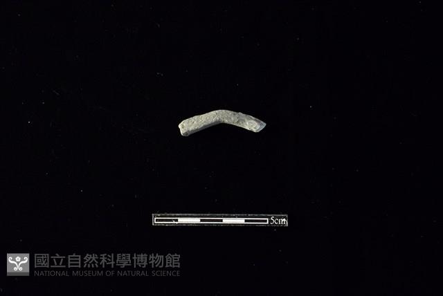 陶環藏品圖，第1張