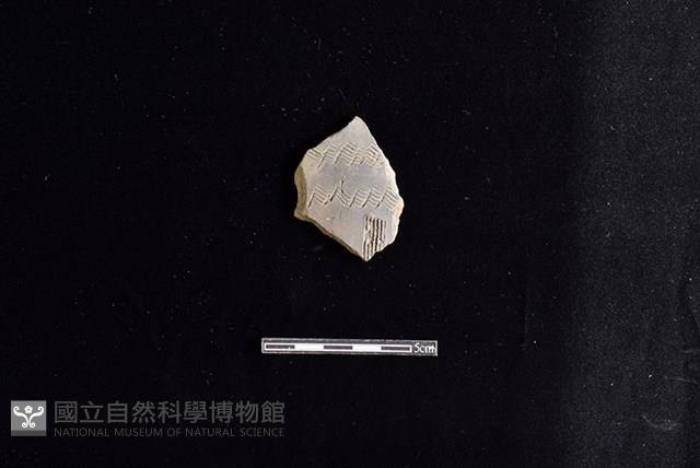 陶片藏品圖，第1張