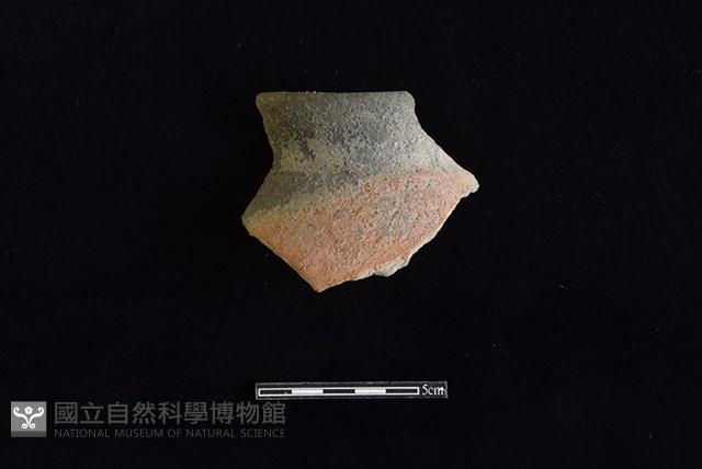 陶罐藏品圖，第1張