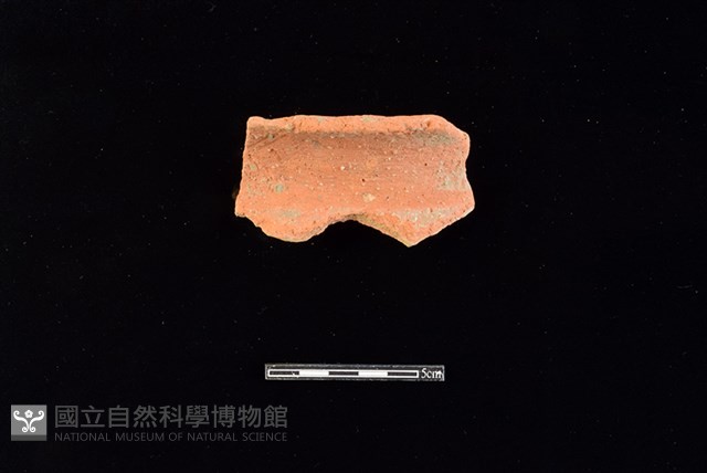 陶罐藏品圖，第1張
