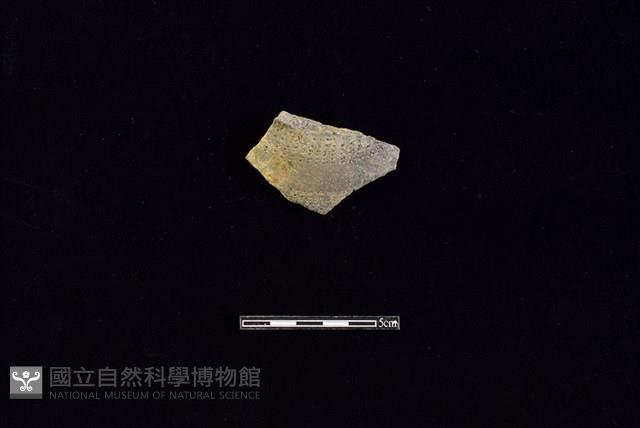 陶罐藏品圖，第1張