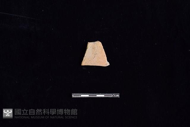 陶片藏品圖，第1張