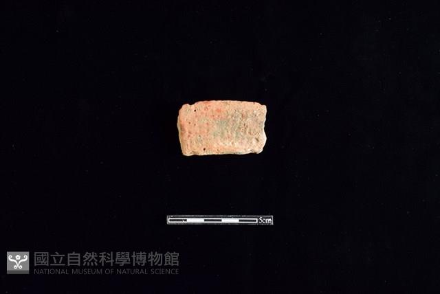 陶片藏品圖，第1張