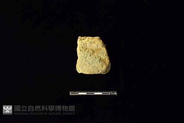 陶片藏品圖，第1張
