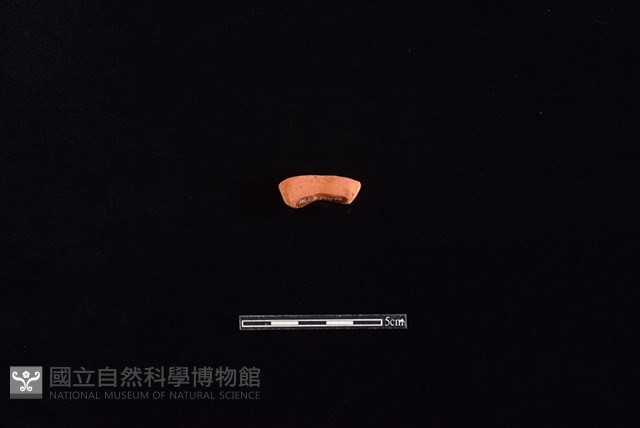 陶把藏品圖，第1張