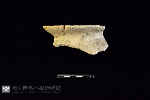 陶罐藏品圖，第1張