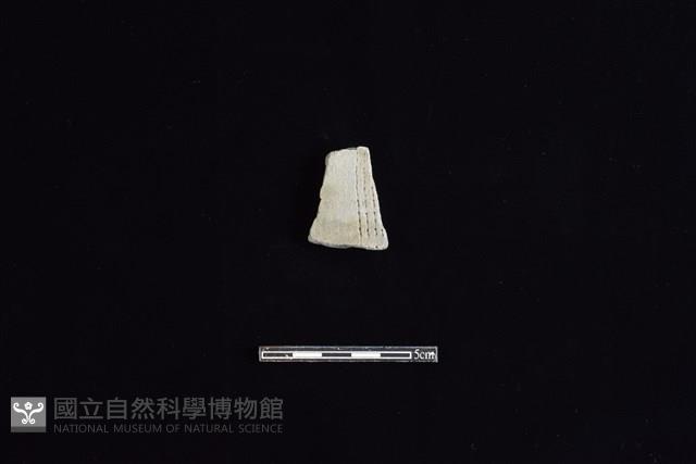 陶片藏品圖，第1張