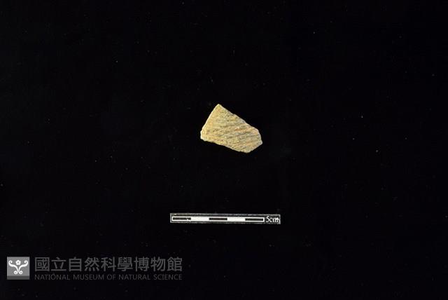 陶片藏品圖，第1張