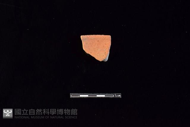 陶片藏品圖，第1張