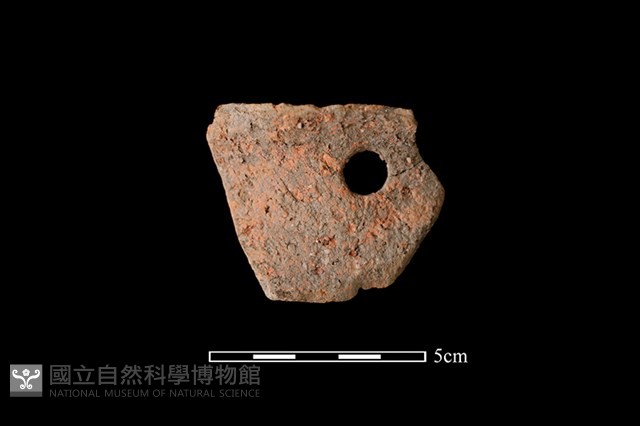 陶片藏品圖，第1張