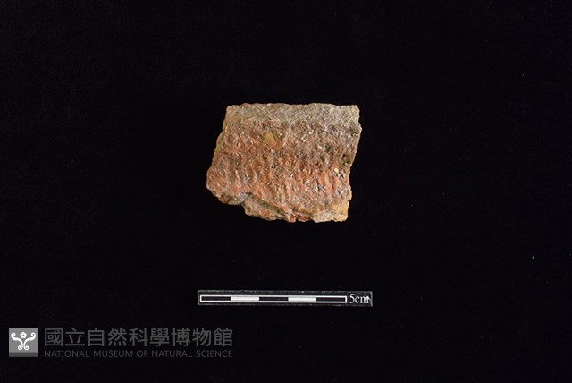 陶罐藏品圖，第1張