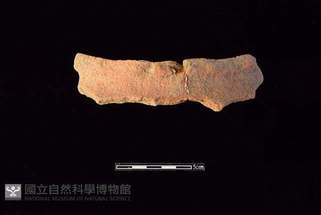 陶罐藏品圖，第1張