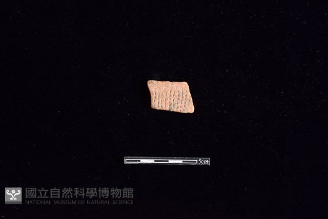 陶片藏品圖，第1張