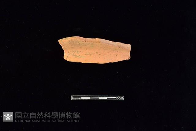 陶片藏品圖，第1張