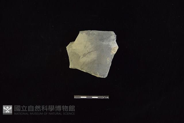 陶罐藏品圖，第1張