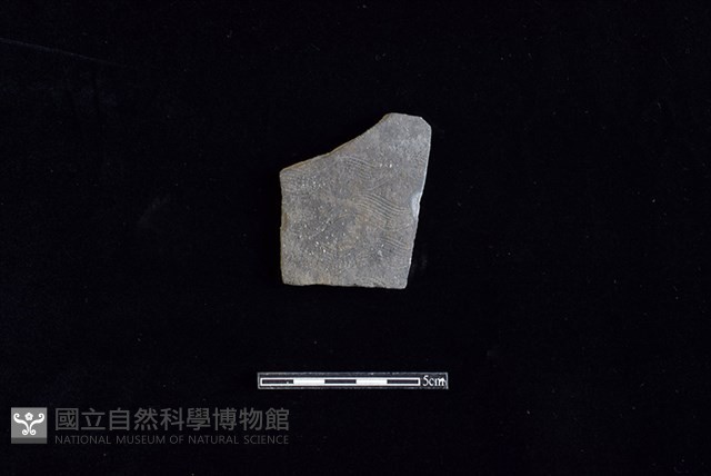 陶片藏品圖，第1張