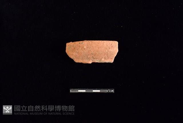 陶片藏品圖，第1張