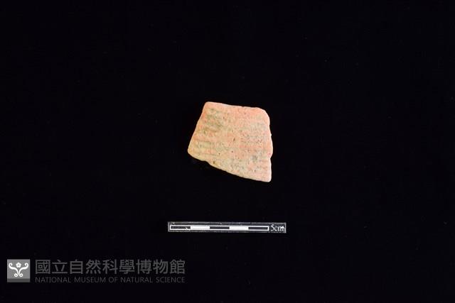 陶片藏品圖，第1張