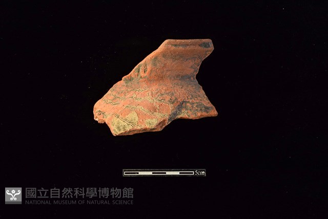 陶罐藏品圖，第1張