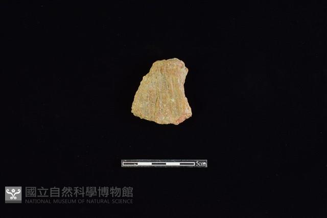 陶片藏品圖，第1張