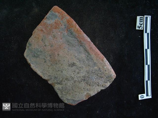 陶片藏品圖，第1張