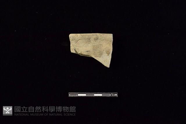 陶罐藏品圖，第1張